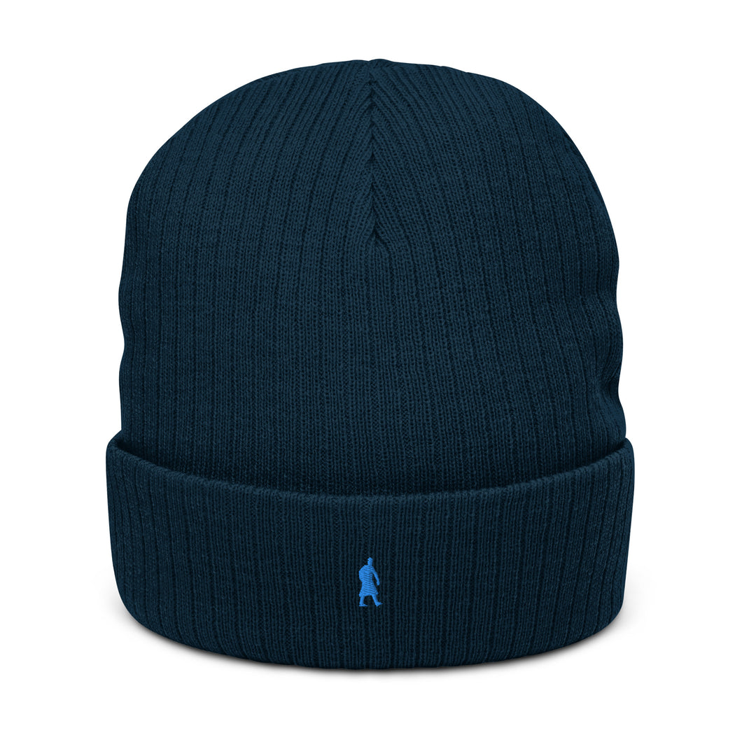 Ribbed Knit Beanie Blue Signature